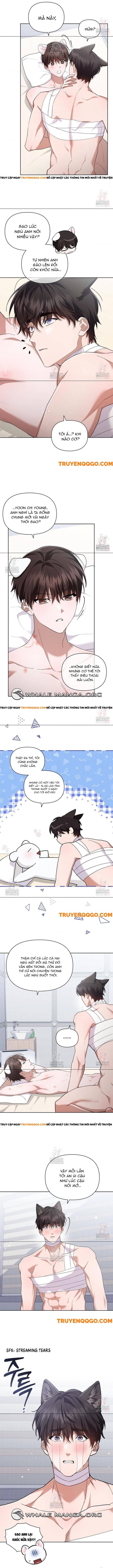 Đừng Đùa Với Cún Con: Chapter 43