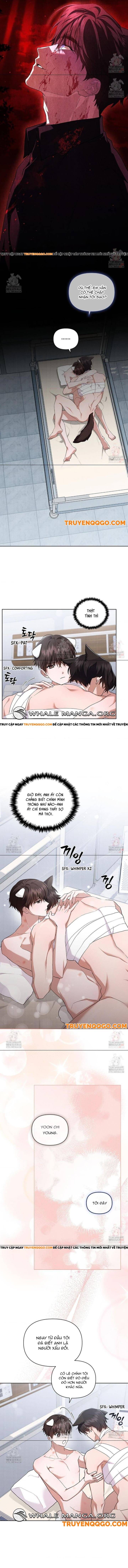 Đừng Đùa Với Cún Con: Chapter 43