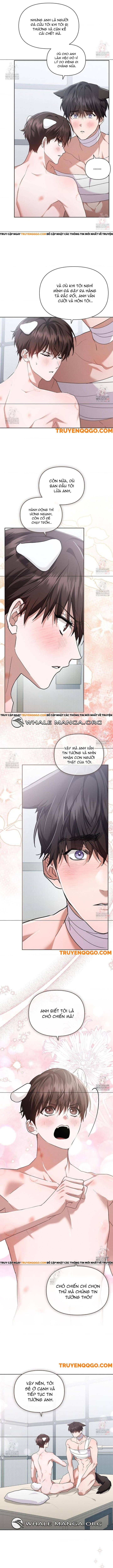 Đừng Đùa Với Cún Con: Chapter 43