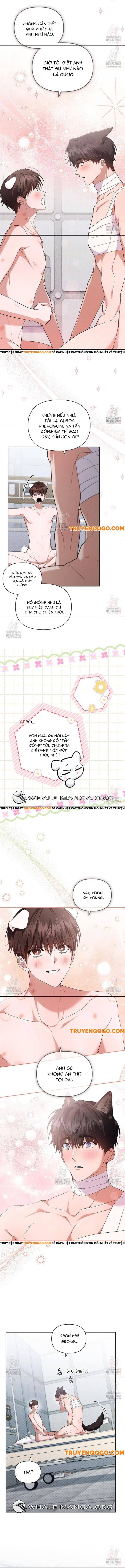 Đừng Đùa Với Cún Con: Chapter 43