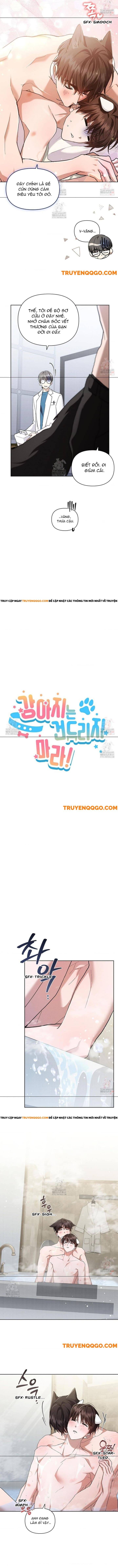 Đừng Đùa Với Cún Con: Chapter 44