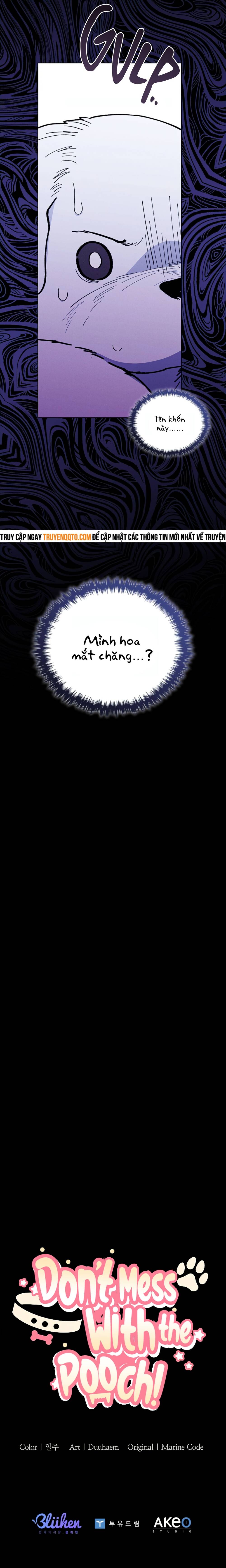 Đừng Đùa Với Cún Con: Chapter 5