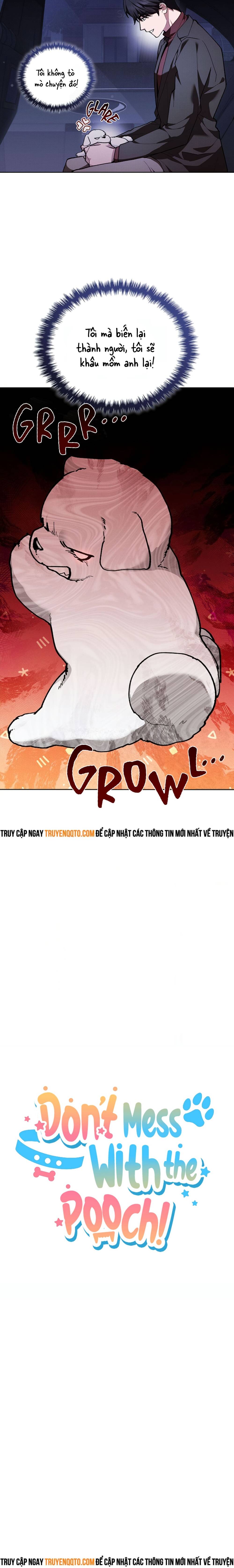 Đừng Đùa Với Cún Con: Chapter 6