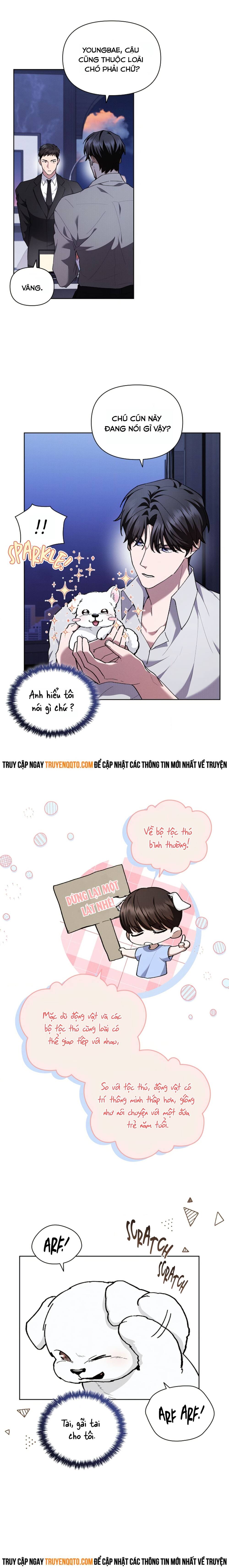 Đừng Đùa Với Cún Con: Chapter 6