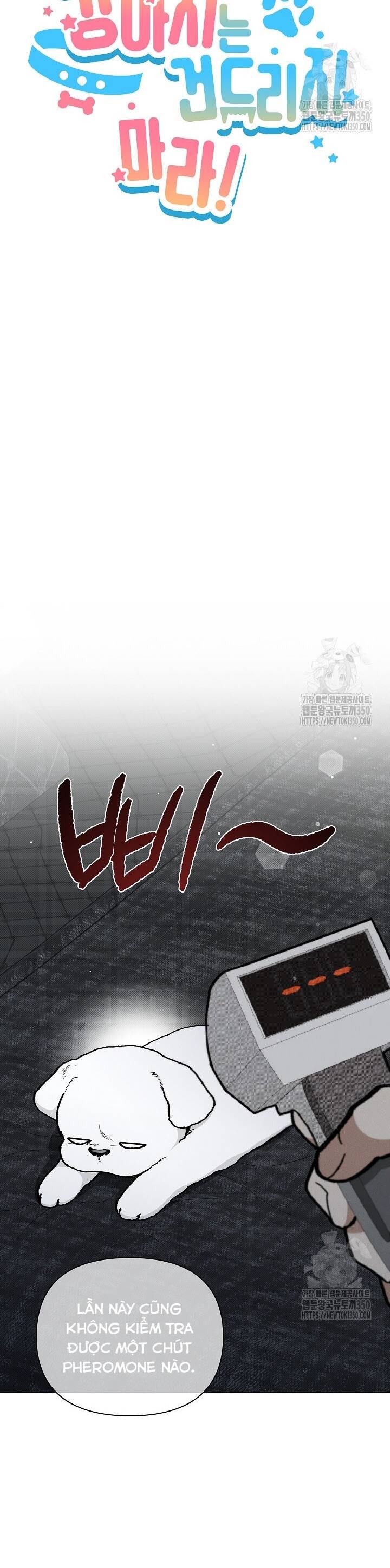 Đừng Đùa Với Cún Con: Chapter 7