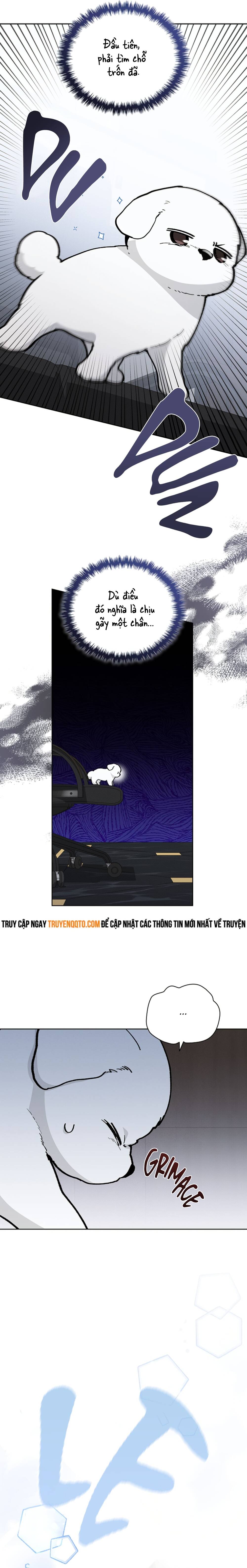 Đừng Đùa Với Cún Con: Chapter 9