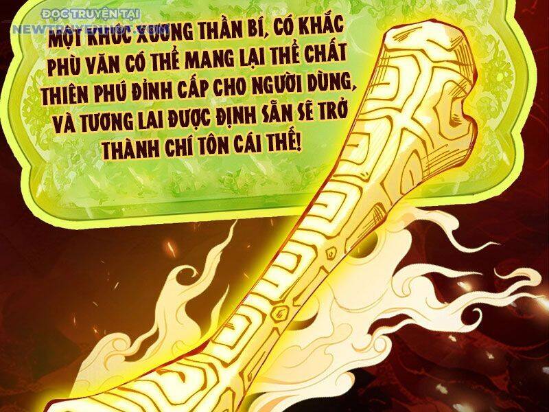 Gặp Mạnh Thì Càng Mạnh, Tu Vi Của Ta Không Giới Hạn: Chapter 10