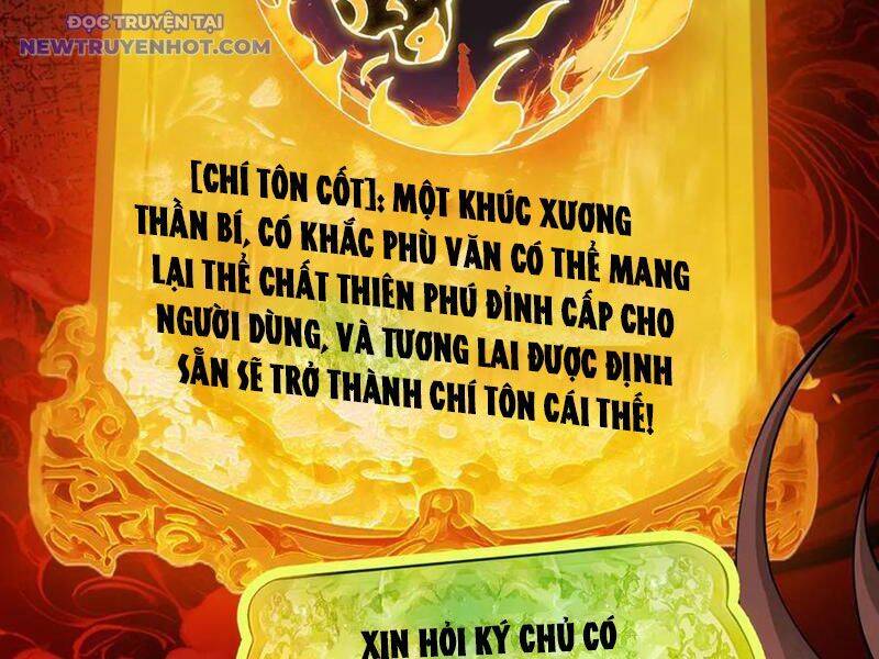 Gặp Mạnh Thì Càng Mạnh, Tu Vi Của Ta Không Giới Hạn: Chapter 11