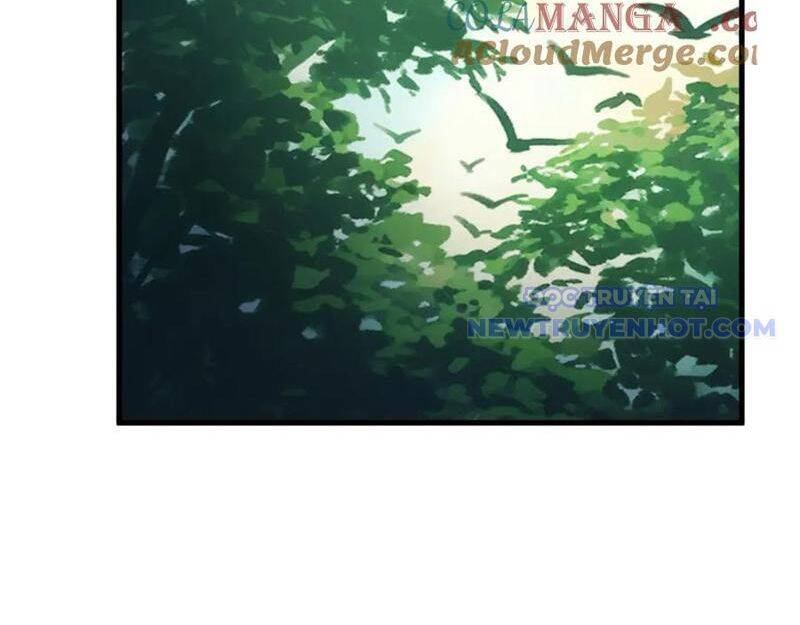 Gặp Mạnh Thì Càng Mạnh, Tu Vi Của Ta Không Giới Hạn: Chapter 16