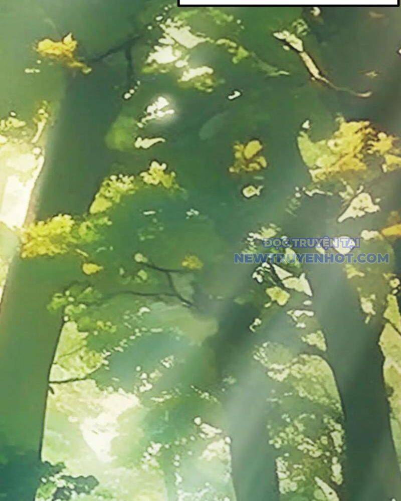 Gặp Mạnh Thì Càng Mạnh, Tu Vi Của Ta Không Giới Hạn: Chapter 16