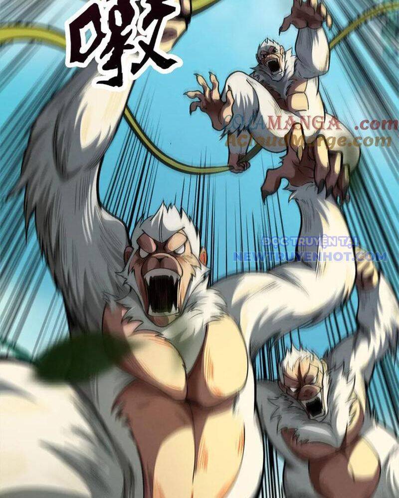 Gặp Mạnh Thì Càng Mạnh, Tu Vi Của Ta Không Giới Hạn: Chapter 16