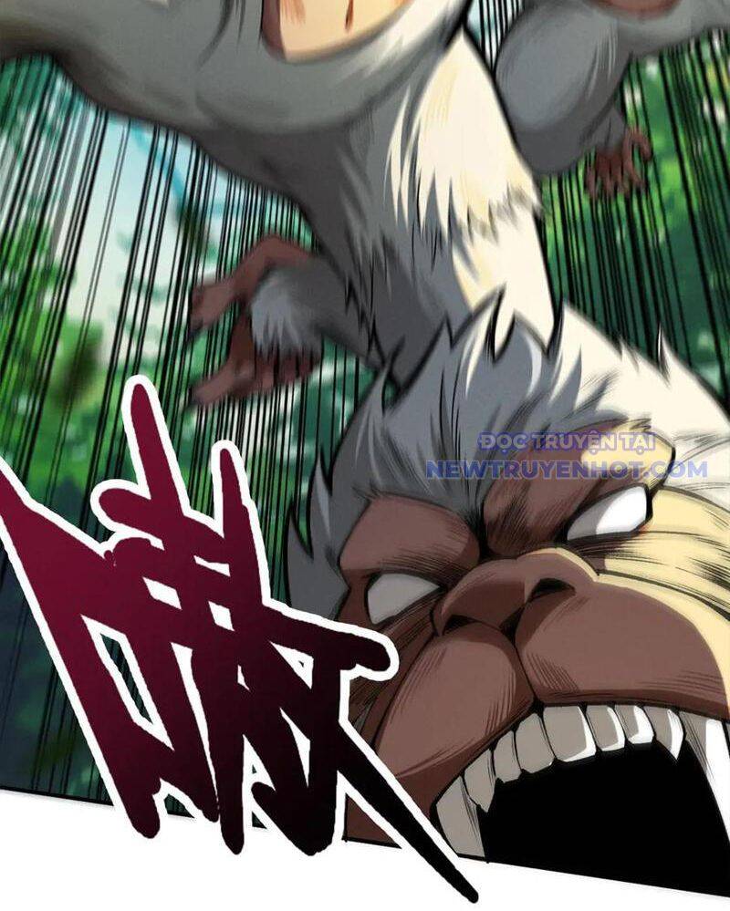 Gặp Mạnh Thì Càng Mạnh, Tu Vi Của Ta Không Giới Hạn: Chapter 16