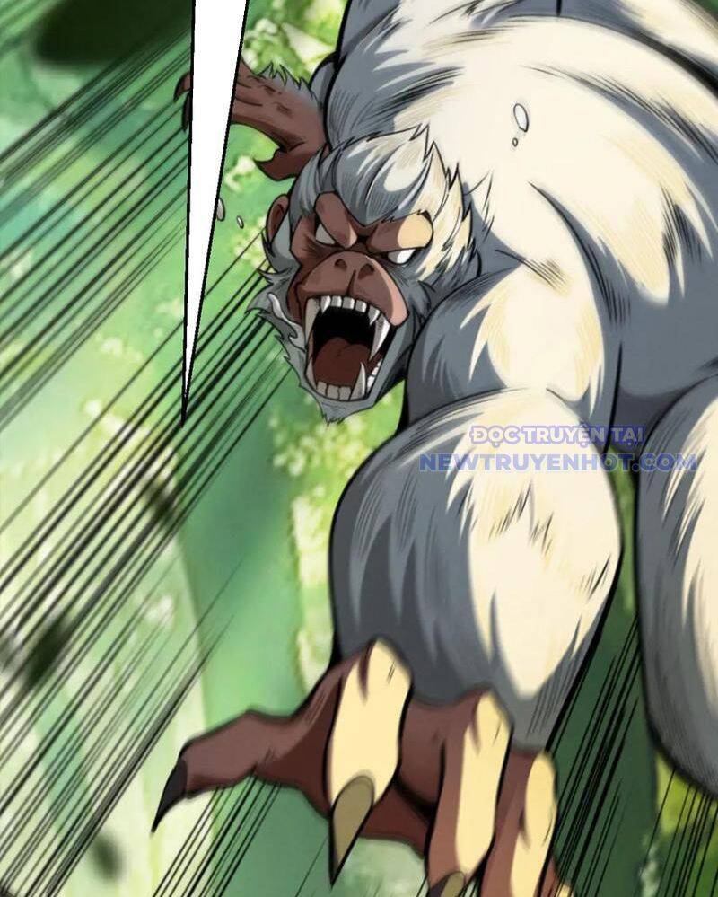 Gặp Mạnh Thì Càng Mạnh, Tu Vi Của Ta Không Giới Hạn: Chapter 16