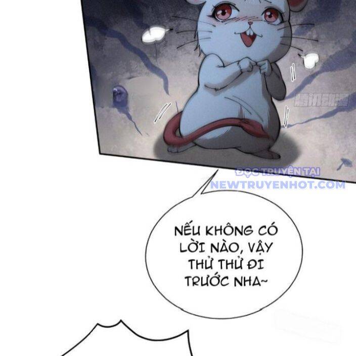 Gặp Mạnh Thì Càng Mạnh, Tu Vi Của Ta Không Giới Hạn: Chapter 17