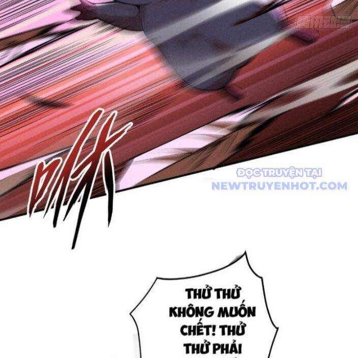 Gặp Mạnh Thì Càng Mạnh, Tu Vi Của Ta Không Giới Hạn: Chapter 17