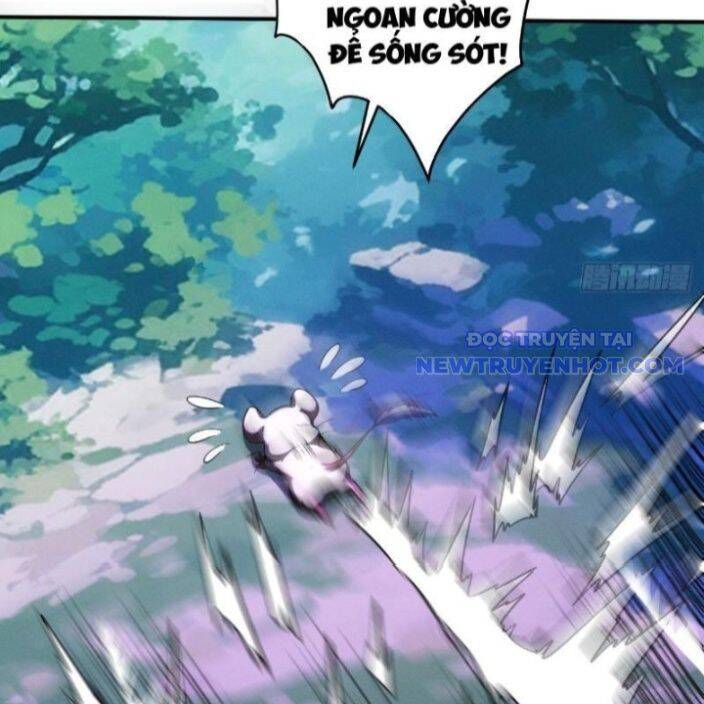 Gặp Mạnh Thì Càng Mạnh, Tu Vi Của Ta Không Giới Hạn: Chapter 17