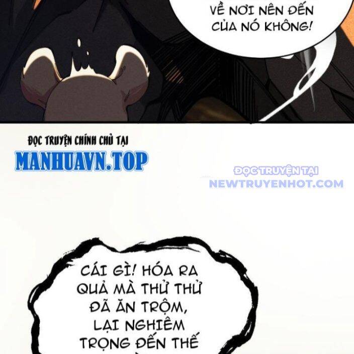 Gặp Mạnh Thì Càng Mạnh, Tu Vi Của Ta Không Giới Hạn: Chapter 17