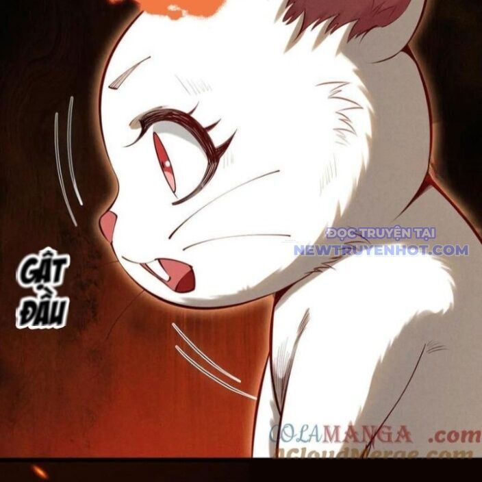 Gặp Mạnh Thì Càng Mạnh, Tu Vi Của Ta Không Giới Hạn: Chapter 20