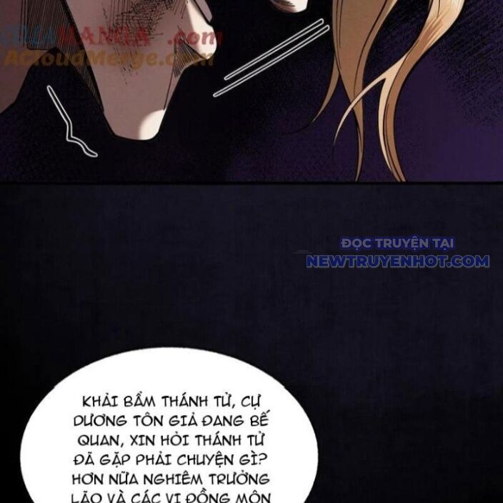 Gặp Mạnh Thì Càng Mạnh, Tu Vi Của Ta Không Giới Hạn: Chapter 20