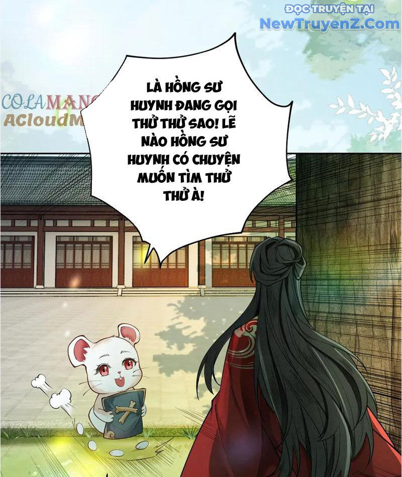 Gặp Mạnh Thì Càng Mạnh, Tu Vi Của Ta Không Giới Hạn: Chapter 38