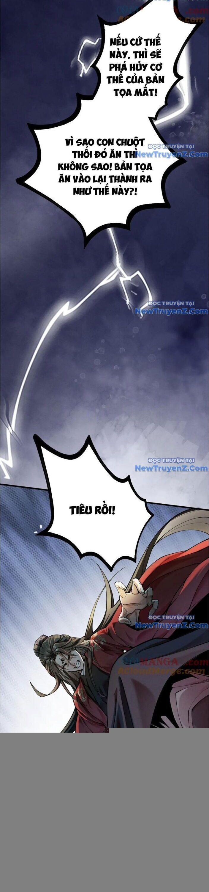 Gặp Mạnh Thì Càng Mạnh, Tu Vi Của Ta Không Giới Hạn: Chapter 39