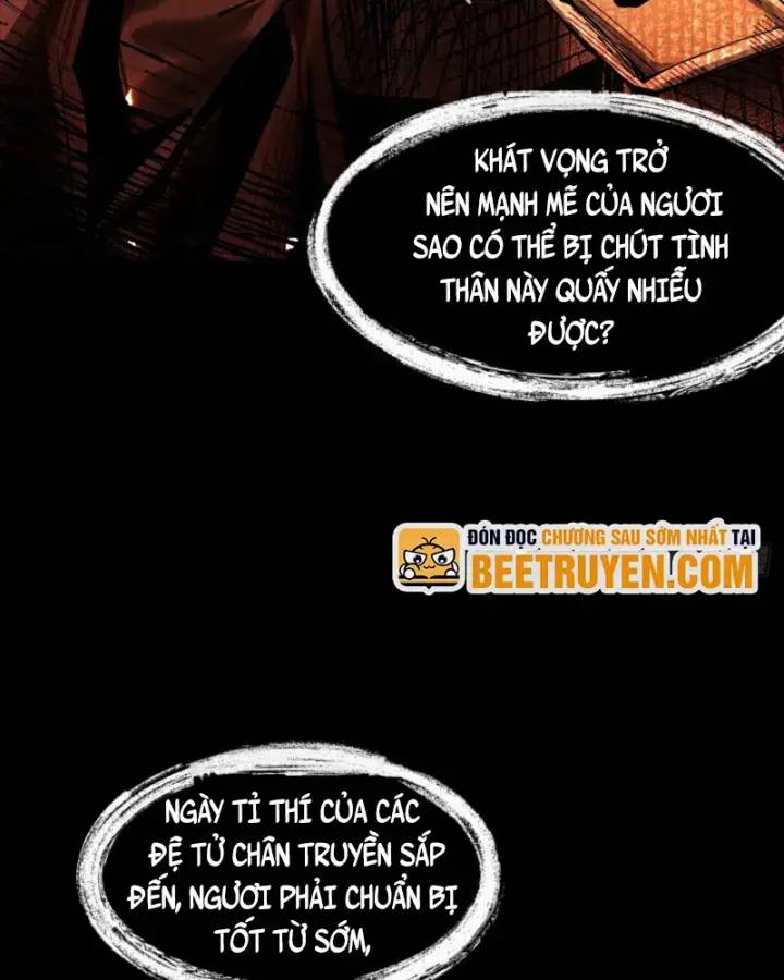 Gặp Mạnh Thì Càng Mạnh, Tu Vi Của Ta Không Giới Hạn: Chapter 5