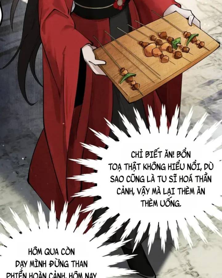 Gặp Mạnh Thì Càng Mạnh, Tu Vi Của Ta Không Giới Hạn: Chapter 5