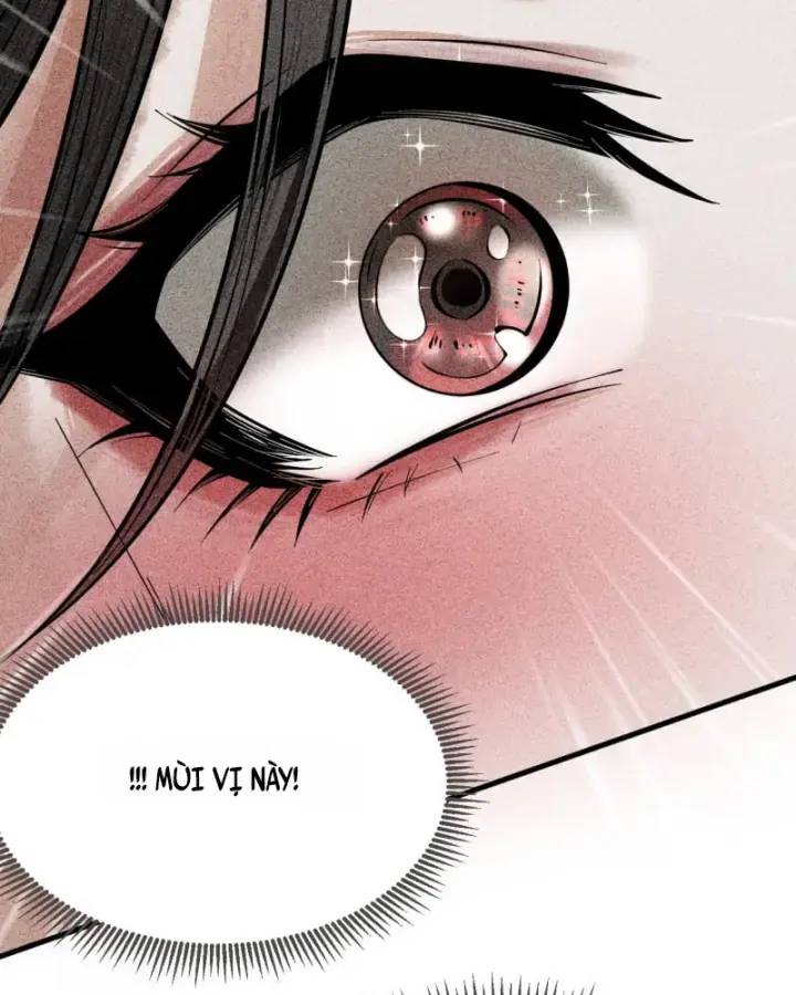 Gặp Mạnh Thì Càng Mạnh, Tu Vi Của Ta Không Giới Hạn: Chapter 5