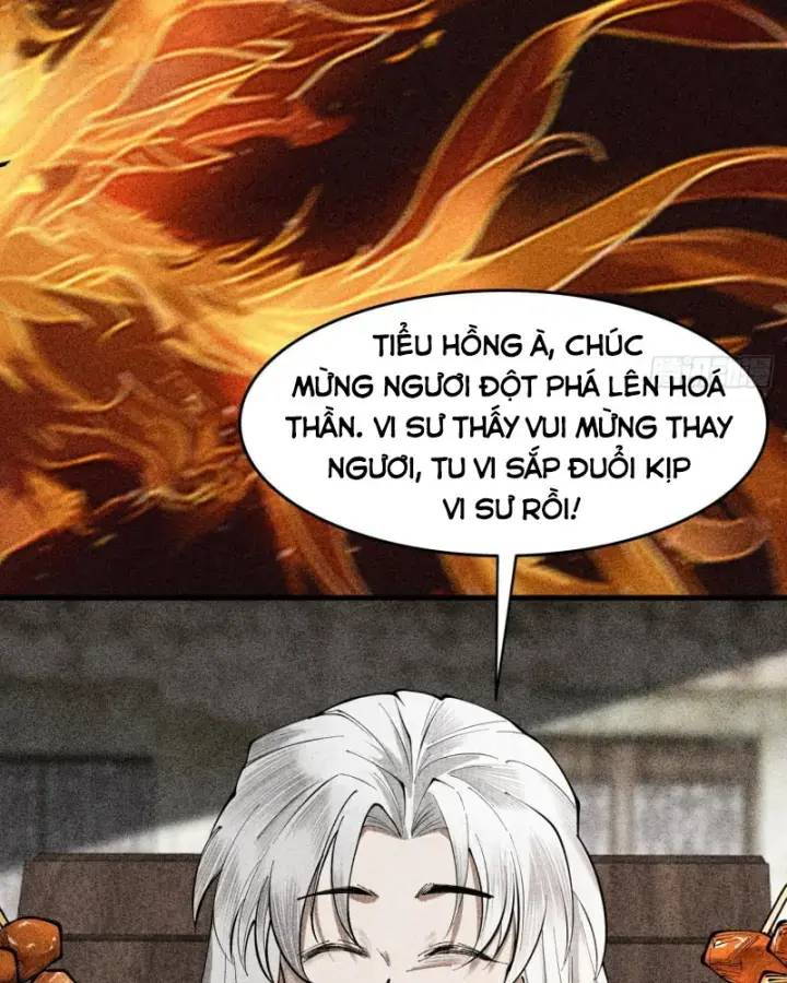 Gặp Mạnh Thì Càng Mạnh, Tu Vi Của Ta Không Giới Hạn: Chapter 5