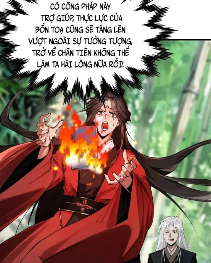 Gặp Mạnh Thì Càng Mạnh, Tu Vi Của Ta Không Giới Hạn: Chapter 5