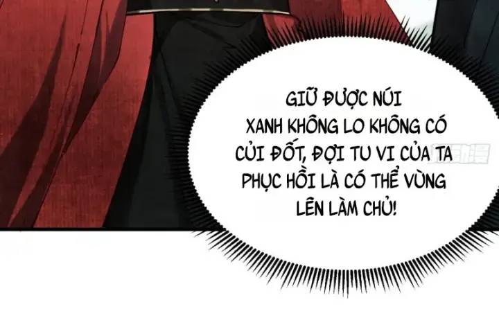 Gặp Mạnh Thì Càng Mạnh, Tu Vi Của Ta Không Giới Hạn: Chapter 5