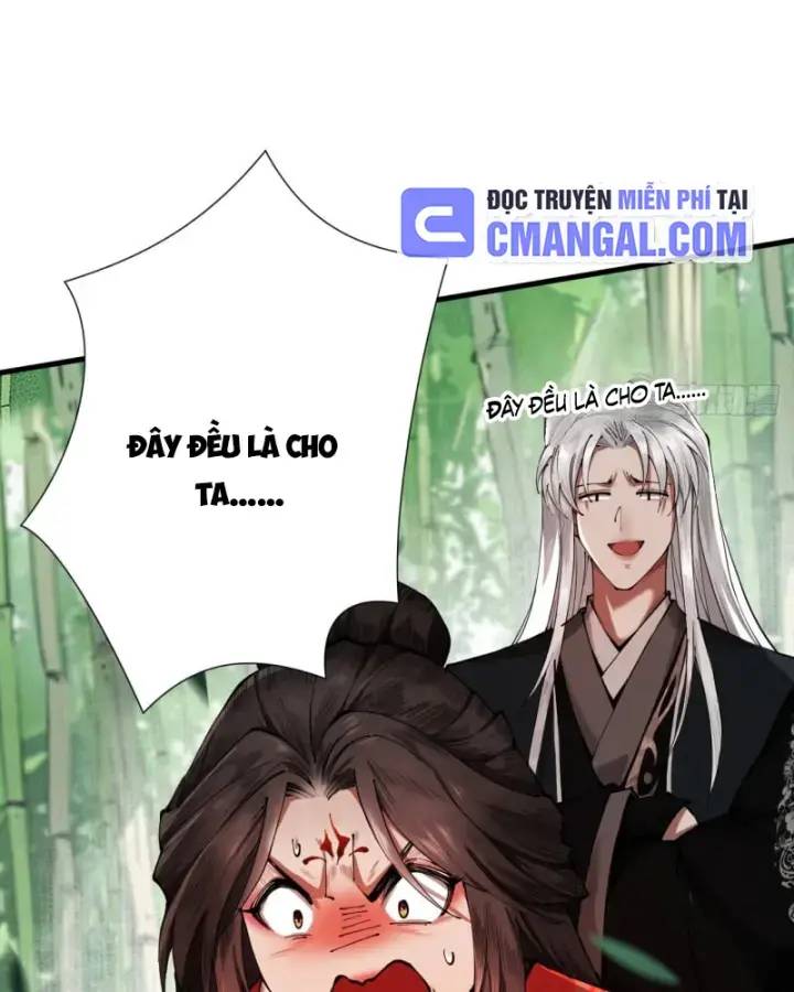 Gặp Mạnh Thì Càng Mạnh, Tu Vi Của Ta Không Giới Hạn: Chapter 5