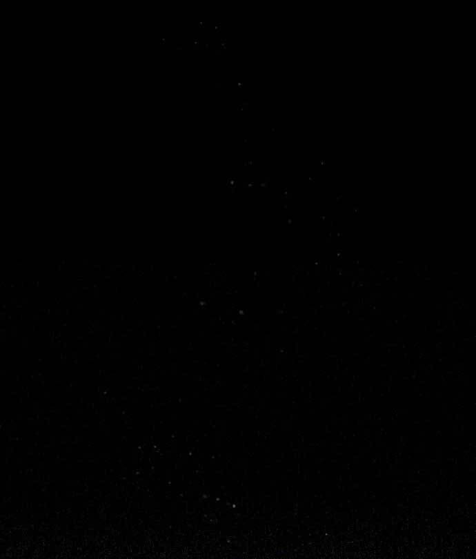 Giảng Sư Đứng Đầu, Baek Sư Phụ: Chapter 81