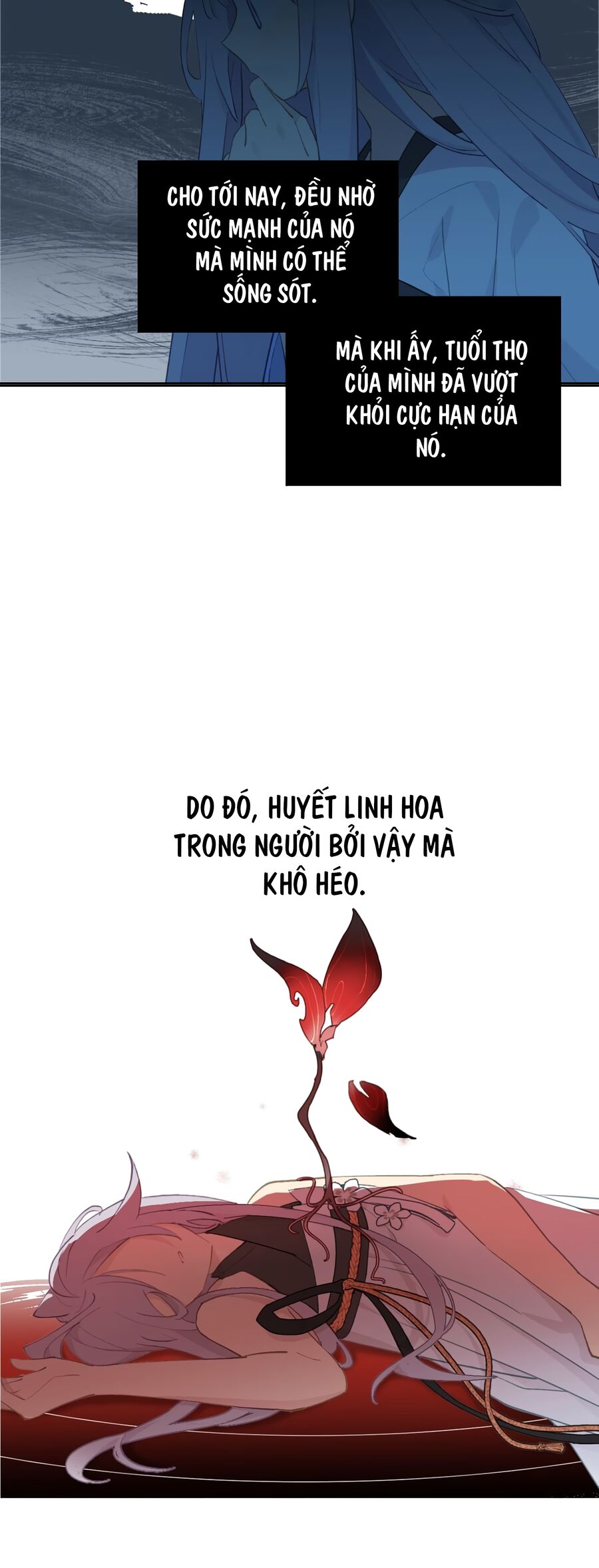 Giết Chết Nam Chính, Ta Trở Thành Nữ Ma Đầu.: Chapter 5
