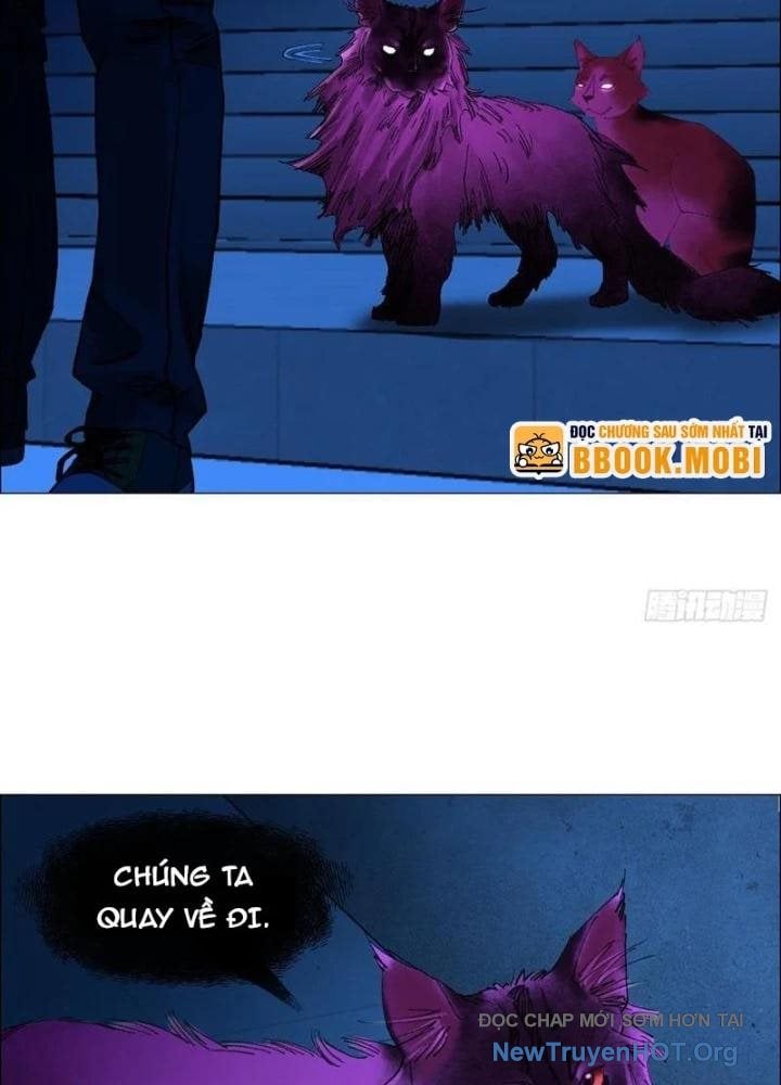 Giờ Ngọ Ba Khắc: Chapter 71