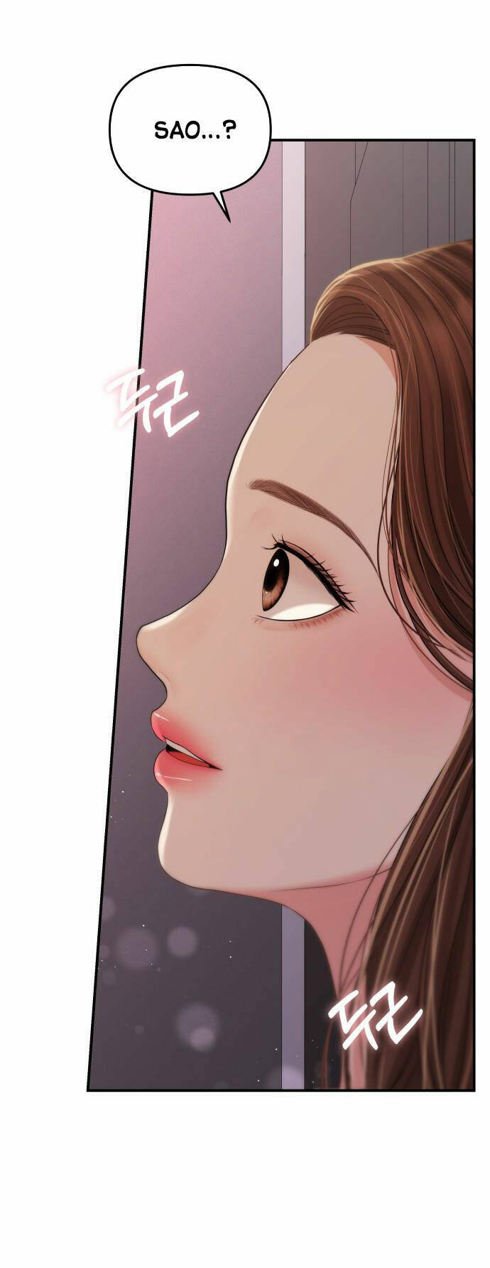 Gửi Em, Người Nuốt Trọn Vì Sao: Chapter 102.1