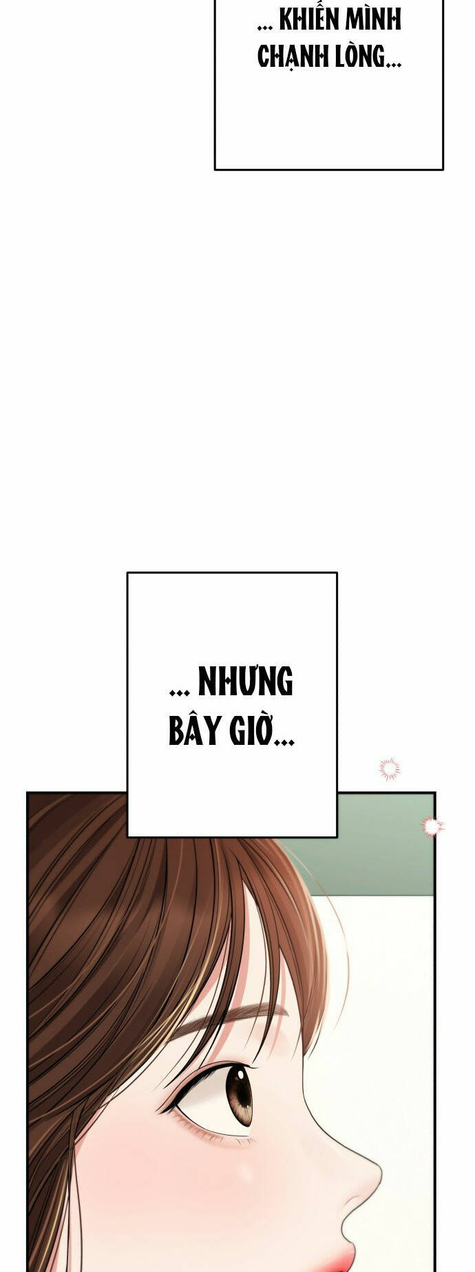 Gửi Em, Người Nuốt Trọn Vì Sao: Chapter 97.2