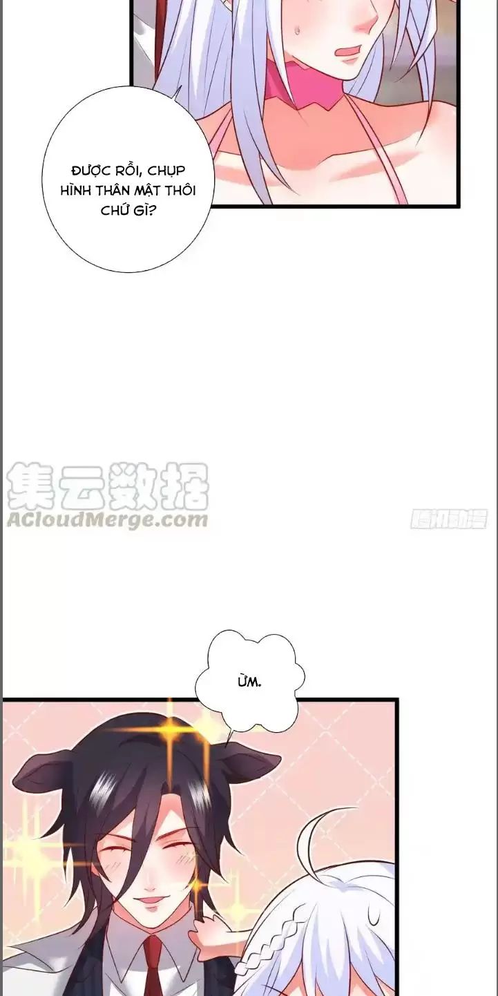 Hắc Đạo Này Có Chút Manh: Chapter 212