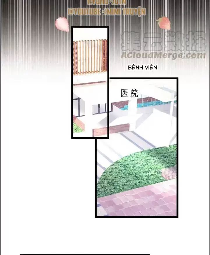 Hắc Đạo Này Có Chút Manh: Chapter 213