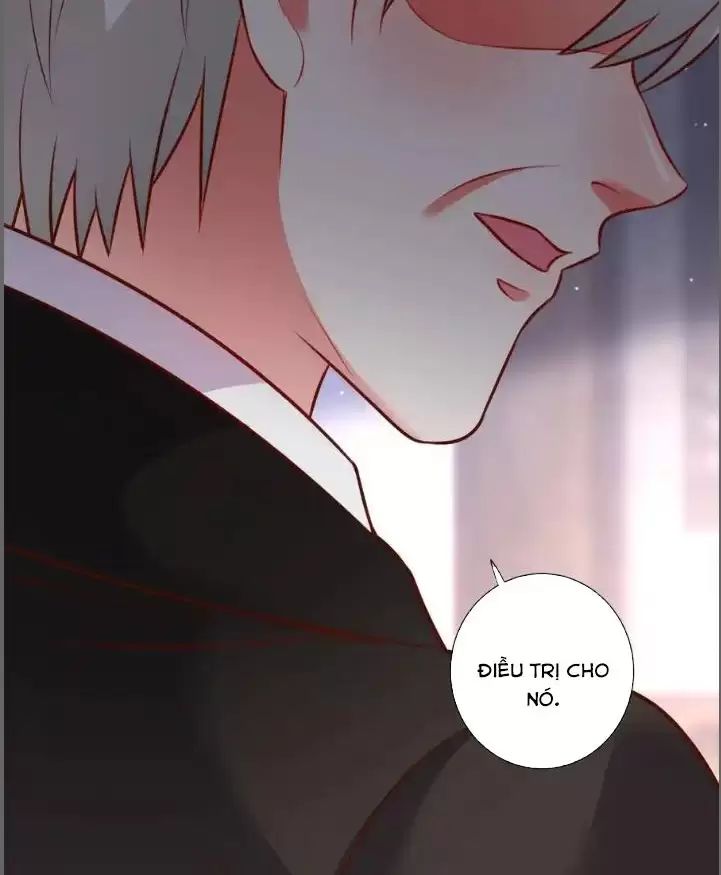 Hắc Đạo Này Có Chút Manh: Chapter 213