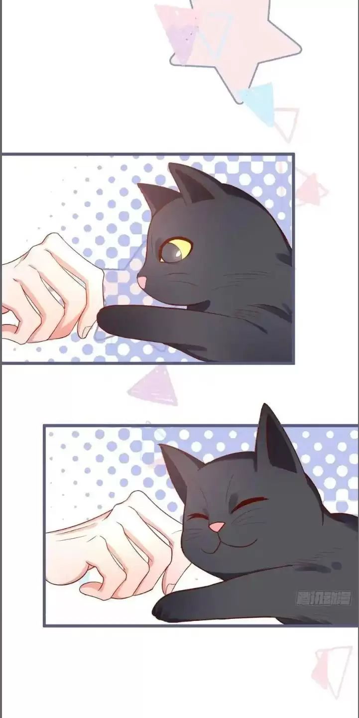 Hắc Đạo Này Có Chút Manh: Chapter 235