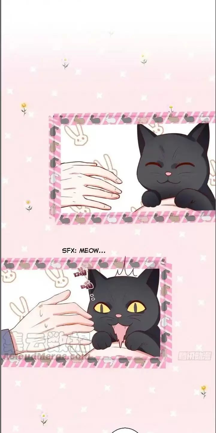 Hắc Đạo Này Có Chút Manh: Chapter 235