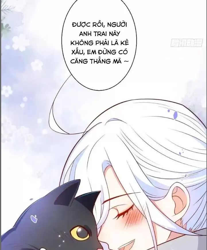 Hắc Đạo Này Có Chút Manh: Chapter 235