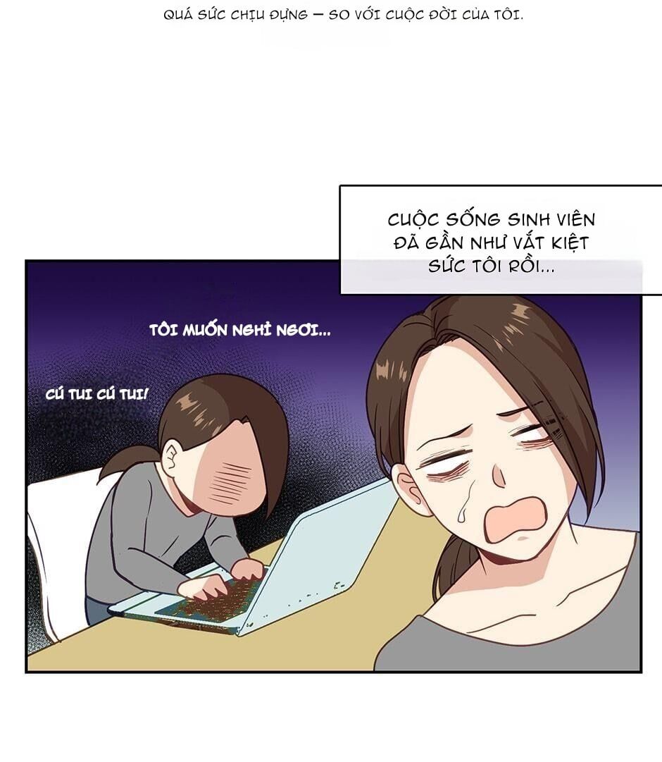 Hãy cẩn thận với kẻ phản diện!: Chapter 1