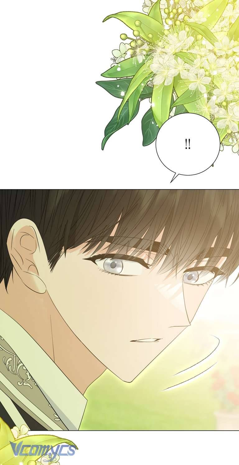 Hãy Để Tiểu Thư Emily Yên: Chapter 7