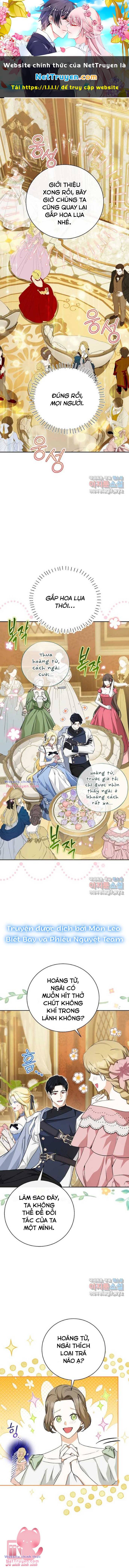 Hình Như Tôi Đã Xuyên Vào Cuốn Tiểu Thuyết Nào Đó: Chapter 30