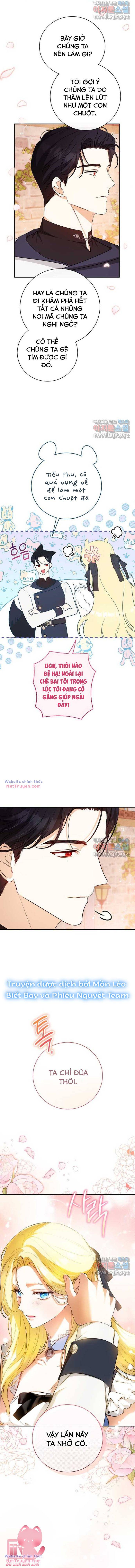 Hình Như Tôi Đã Xuyên Vào Cuốn Tiểu Thuyết Nào Đó: Chapter 30