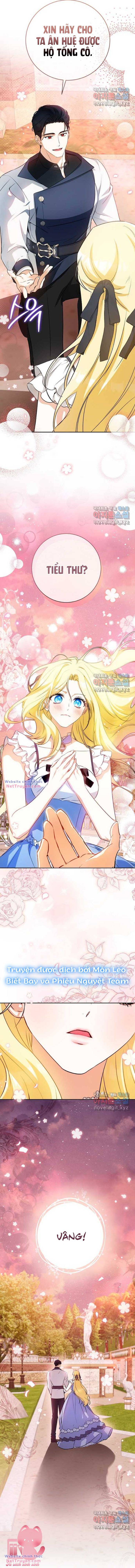 Hình Như Tôi Đã Xuyên Vào Cuốn Tiểu Thuyết Nào Đó: Chapter 30