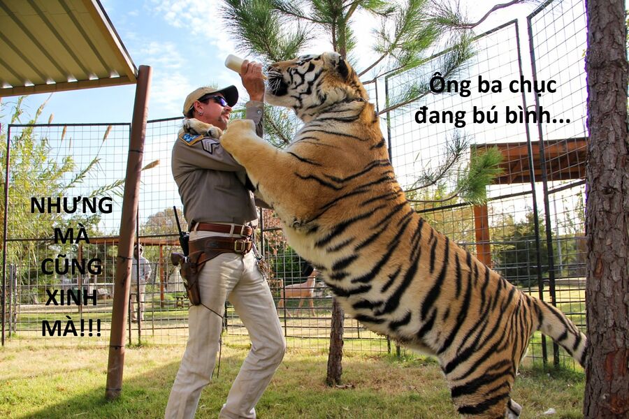 Hổ Đến Chơi Nhà (Puchimasu Miếu): Chapter 148