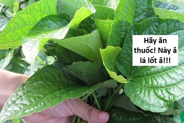 Hổ Đến Chơi Nhà: Chapter 139